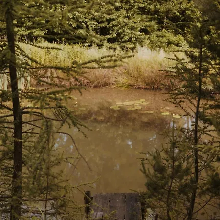 Domek alpejski Na Głębuczku Z Prywatnym Jacuzzi *