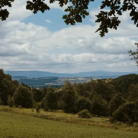 Na Głębuczku Z Prywatnym Jacuzzi Domek alpejski Kamionka Mala (Nowy Sacz)